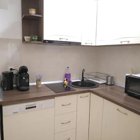 Lavender Studio Ultra Central Apartment Sibiu