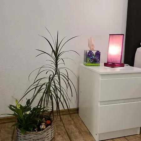 Apartment Lavender Studio Ultra Central Sibiu